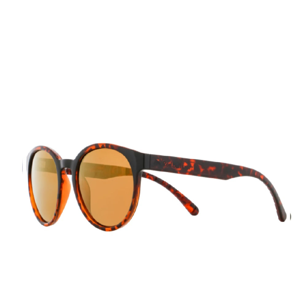 REDBULL EVER-004P HAVANNA STYLISH GLASSES
