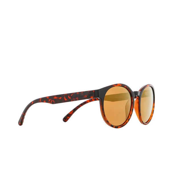 REDBULL EVER-004P HAVANNA STYLISH GLASSES