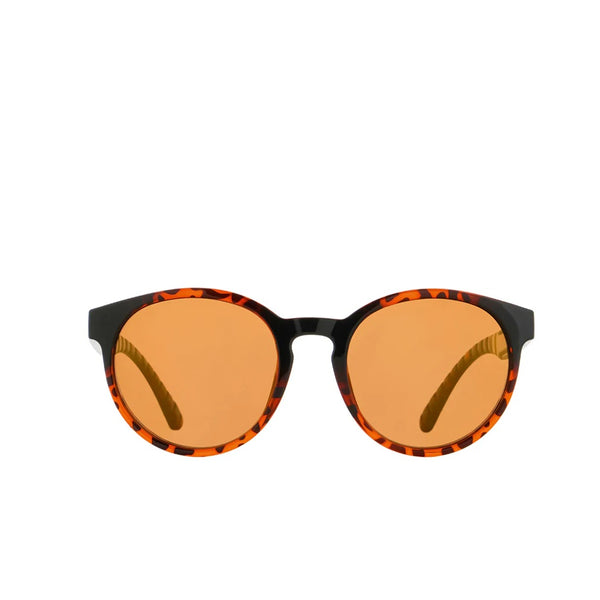 REDBULL EVER-004P HAVANNA STYLISH GLASSES