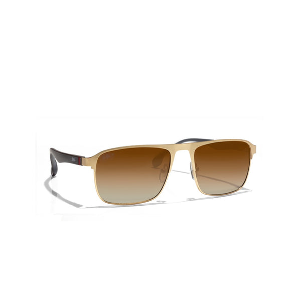 Selfie Polarized Brown Lense  Gold Frame Sunglasses, SE8211-C3