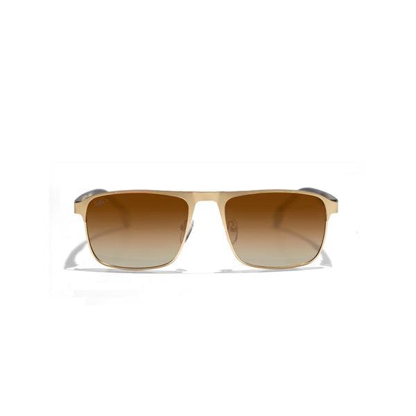 Selfie Polarized Brown Lense  Gold Frame Sunglasses, SE8211-C3